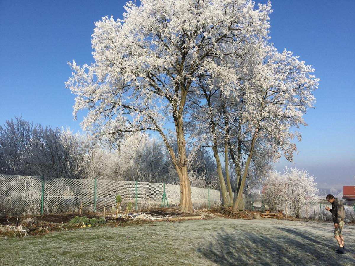 Justyna Villa Pardubice Buitenkant foto
